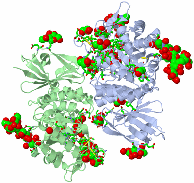 Image Asym./Biol. Unit - sites