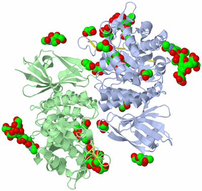 Image Asym./Biol. Unit