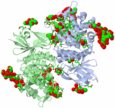 Image Asym./Biol. Unit - sites