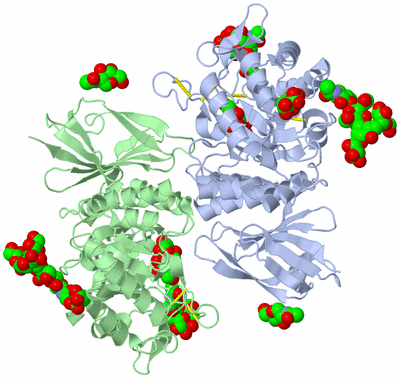 Image Asym./Biol. Unit