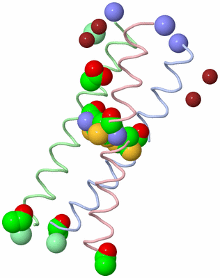 Image Asym./Biol. Unit