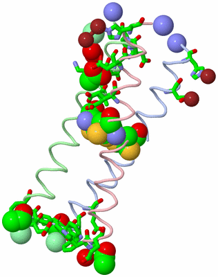 Image Asym./Biol. Unit - sites