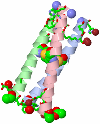 Image Asym./Biol. Unit - sites