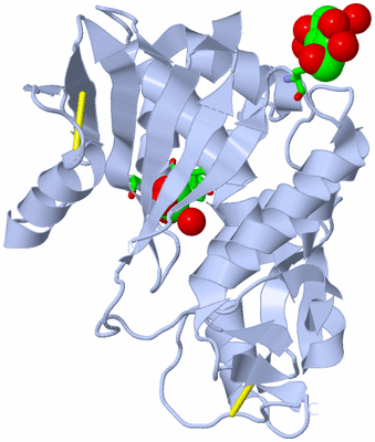Image Biol. Unit 1 - sites