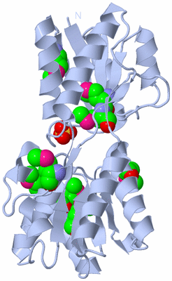 Image Biological Unit 1