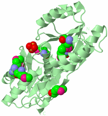 Image Biological Unit 2