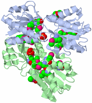 Image Biological Unit 3