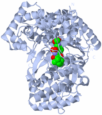 Image Biological Unit 1