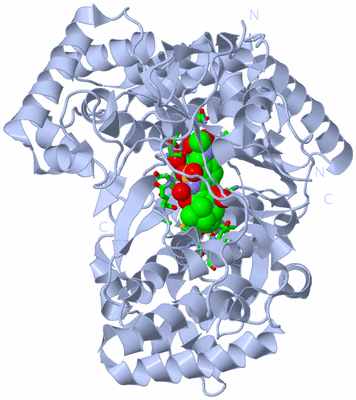 Image Biol. Unit 1 - sites