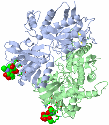 Image Biol. Unit 1 - sites