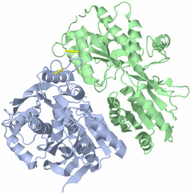 Image Asym./Biol. Unit