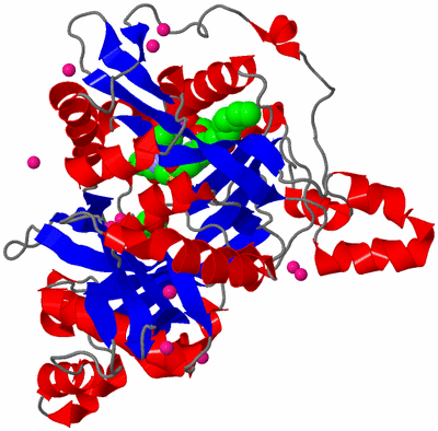 Image Asym./Biol. Unit