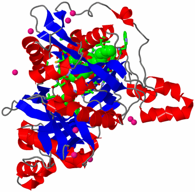 Image Asym./Biol. Unit - sites