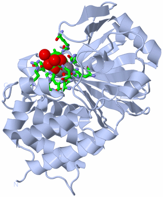 Image Biol. Unit 1 - sites