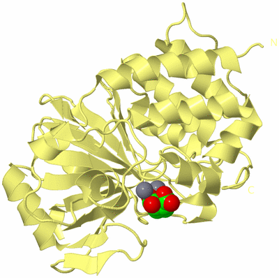 Image Biological Unit 2