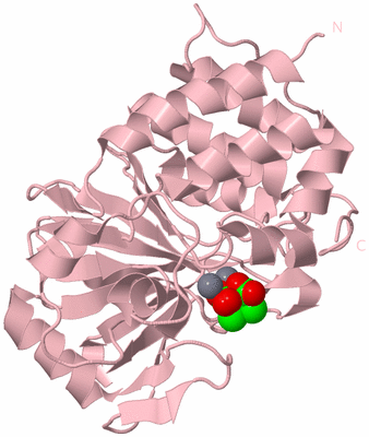 Image Biological Unit 1