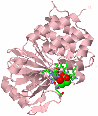 Image Biol. Unit 1 - sites