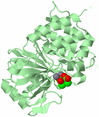 Image Biological Unit 2