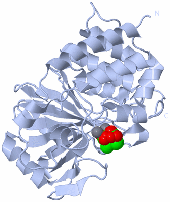 Image Biological Unit 1