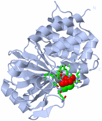 Image Biol. Unit 1 - sites