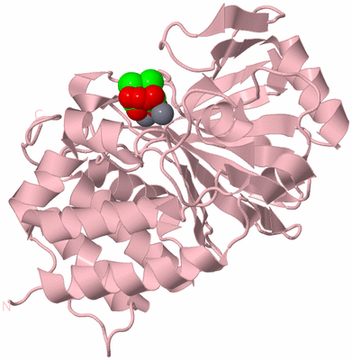 Image Biological Unit 2