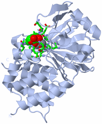 Image Biol. Unit 1 - sites