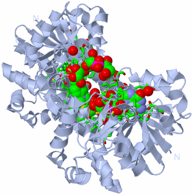 Image Biol. Unit 1 - sites