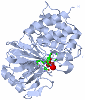 Image Biol. Unit 1 - sites