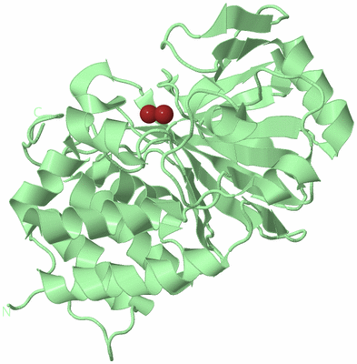 Image Biological Unit 2