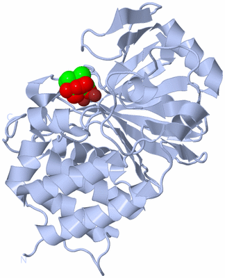 Image Biological Unit 1