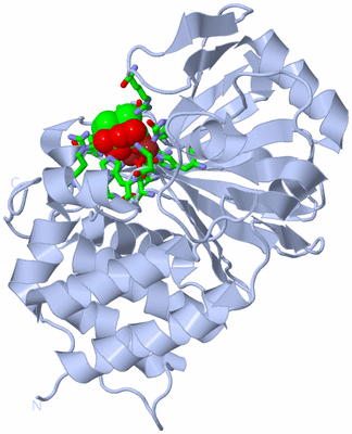 Image Biol. Unit 1 - sites