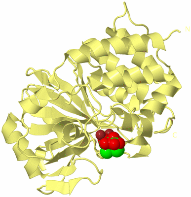 Image Biological Unit 2