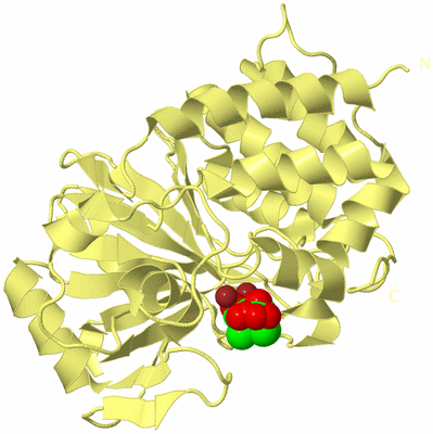 Image Biological Unit 2