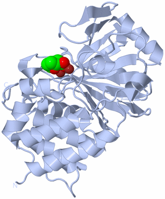 Image Biological Unit 1