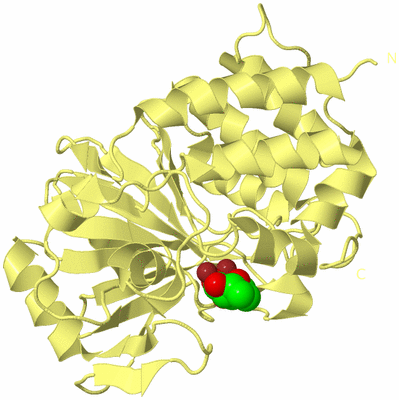 Image Biological Unit 2