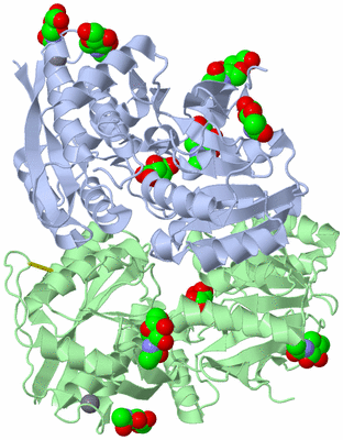 Image Asym./Biol. Unit