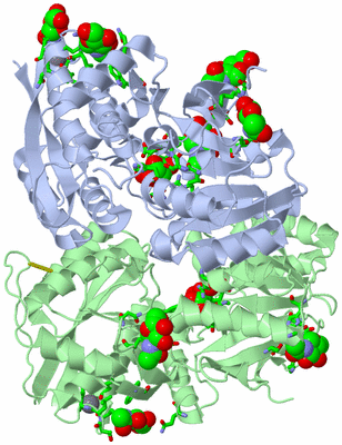 Image Asym./Biol. Unit - sites