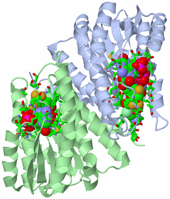 Image Biol. Unit 1 - sites