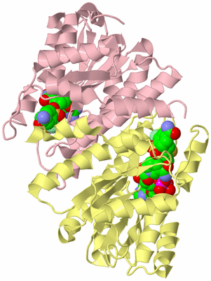 Image Biological Unit 2