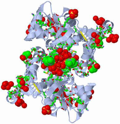 Image Biol. Unit 1 - sites