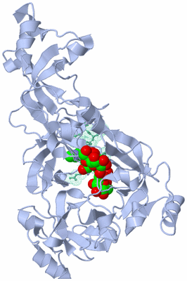 Image Biological Unit 1