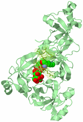 Image Biological Unit 2