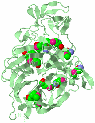 Image Biological Unit 2