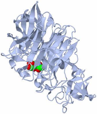 Image Biological Unit 1