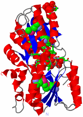 Image Asym./Biol. Unit - sites