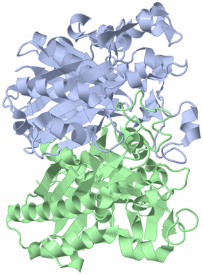 Image Asym./Biol. Unit