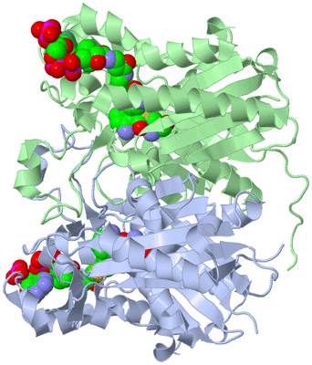 Image Asym./Biol. Unit