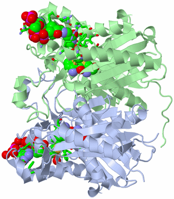 Image Asym./Biol. Unit - sites