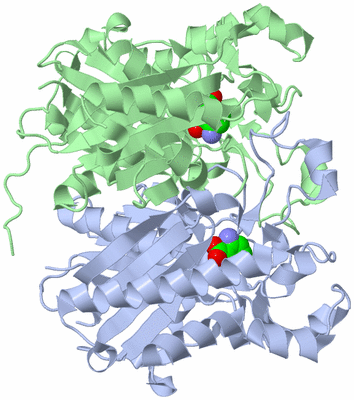 Image Asym./Biol. Unit