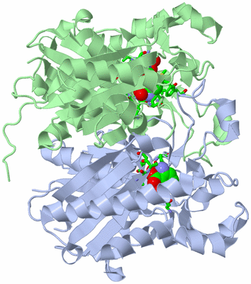 Image Asym./Biol. Unit - sites